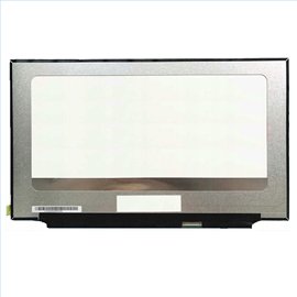 LCD LED screen replacement type Optronics B173ZAN03.0 17.3 3840x2160